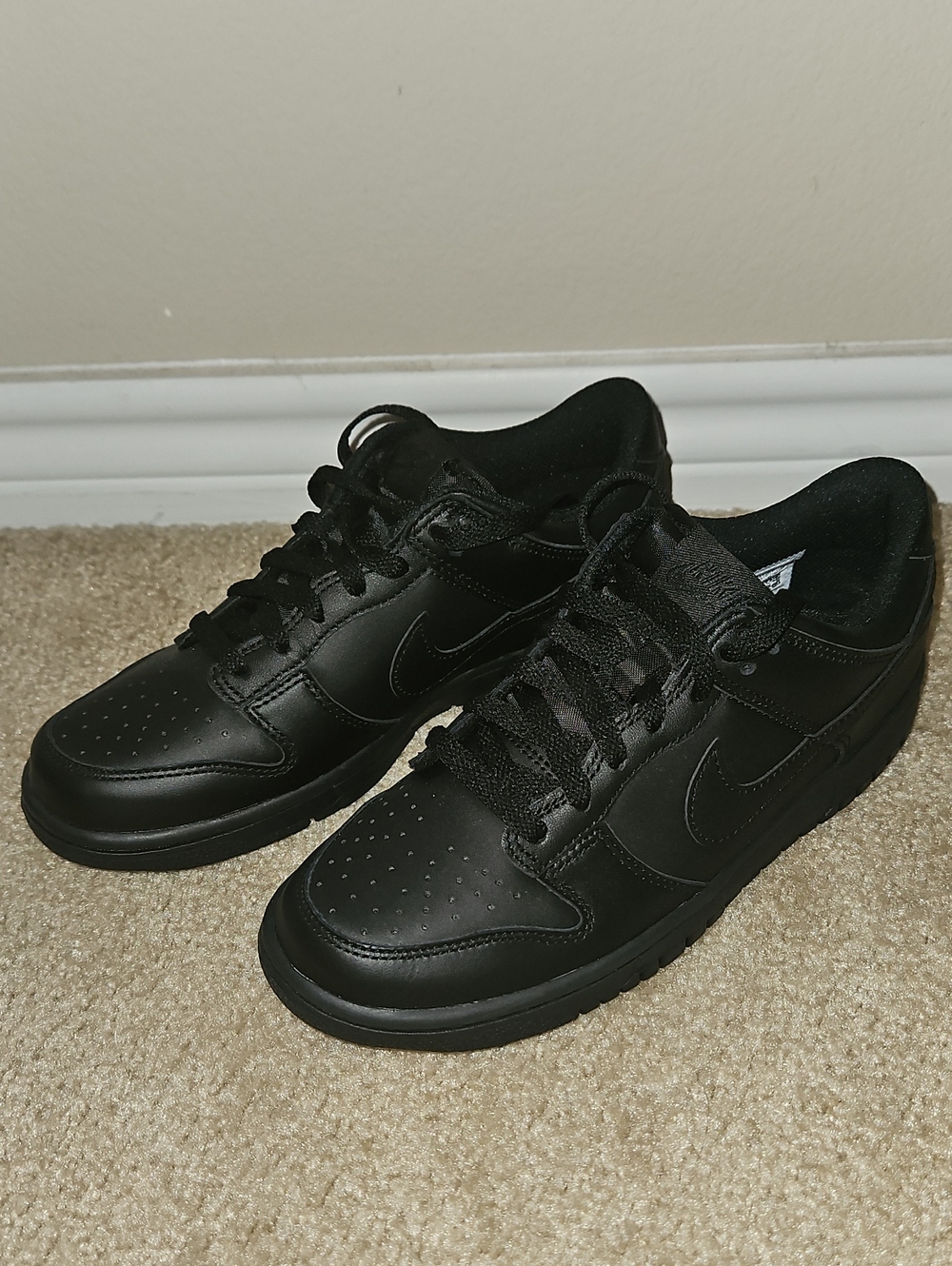 Nike Dunks LOW